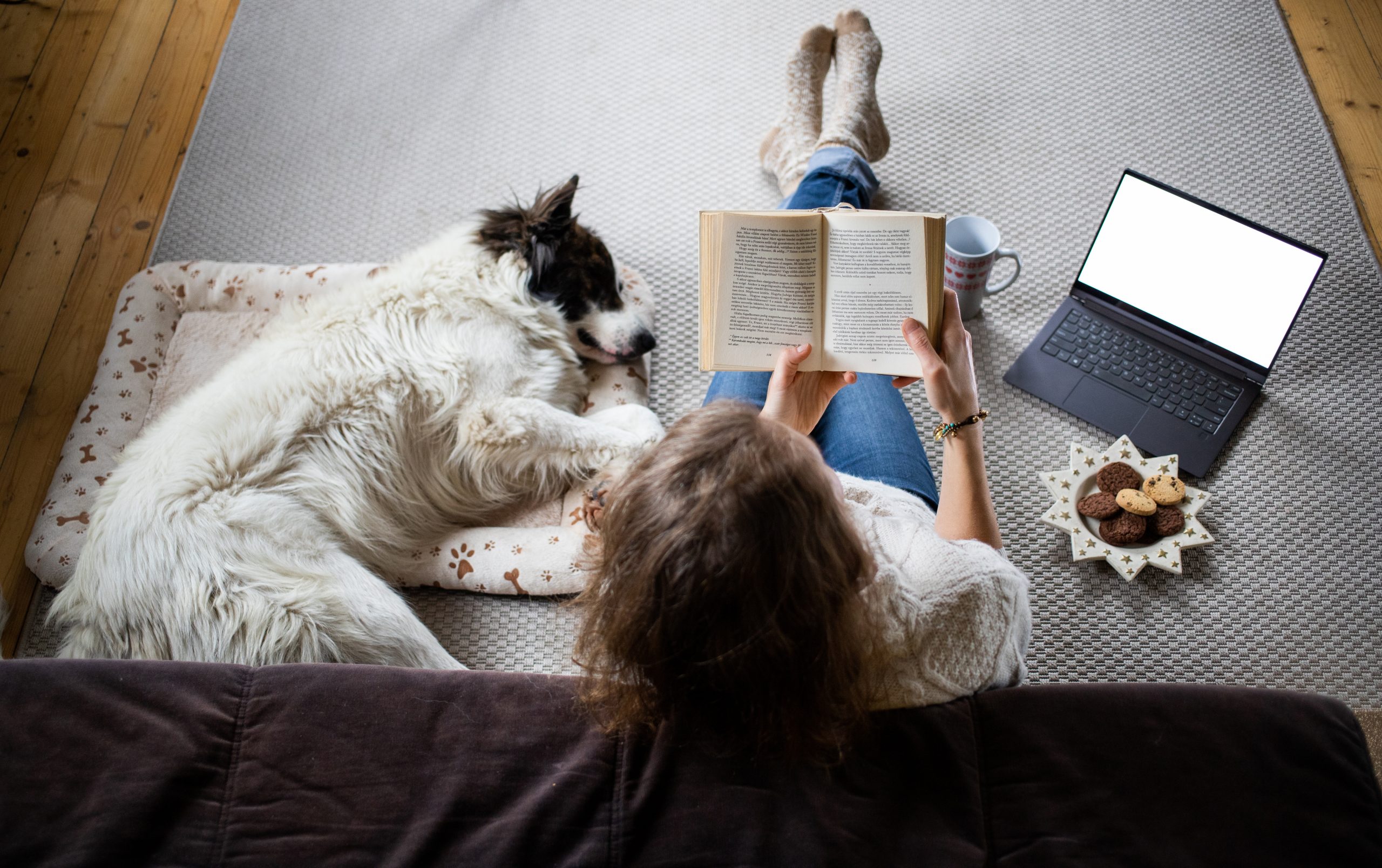 Mulher lendo um livro sentada no chão ao lado de seu cachorro.