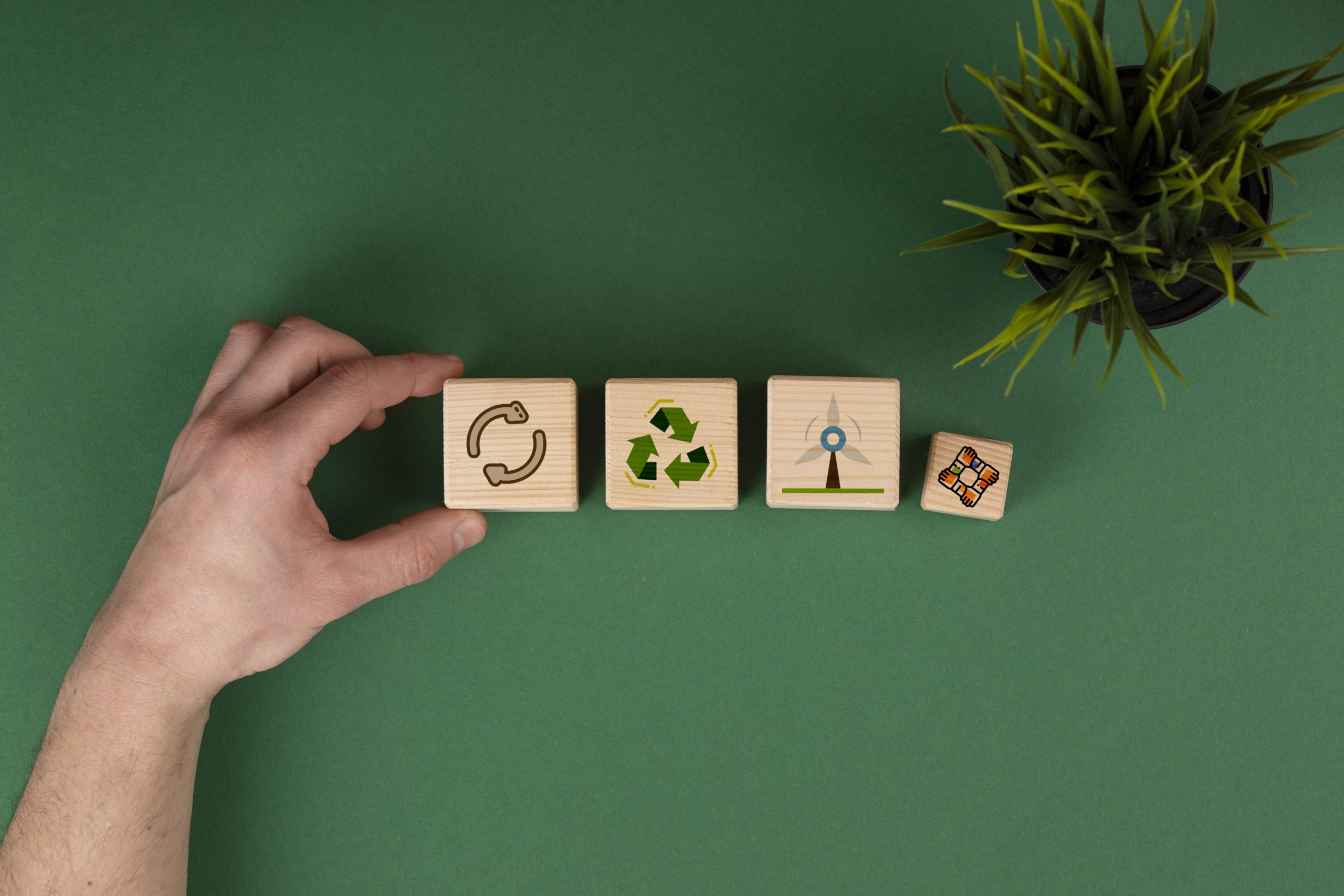 Símbolos de reciclagem, energia eólica e planta ilustram a importância da preservação do planeta