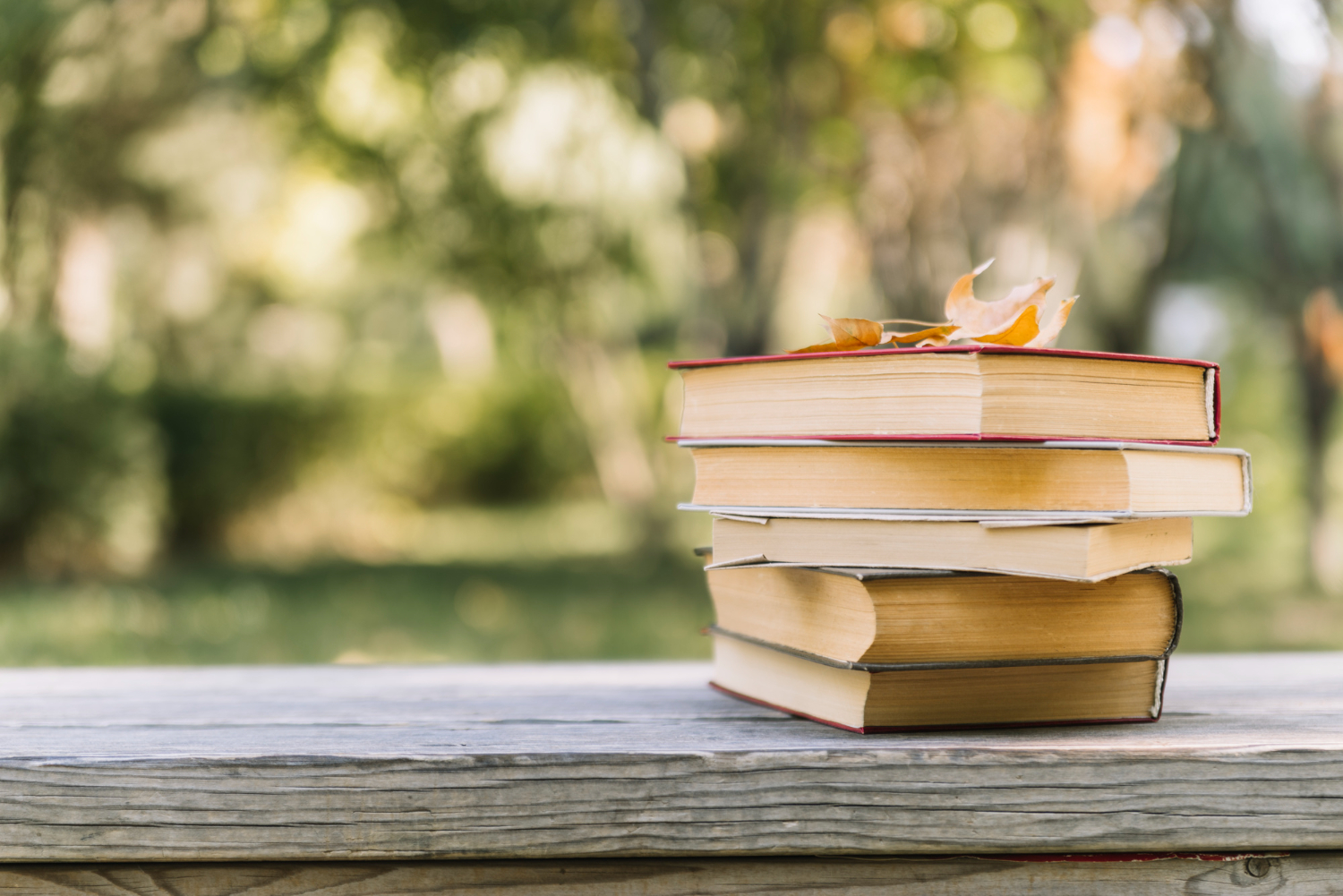 Vários livros empilhados ao ar livre